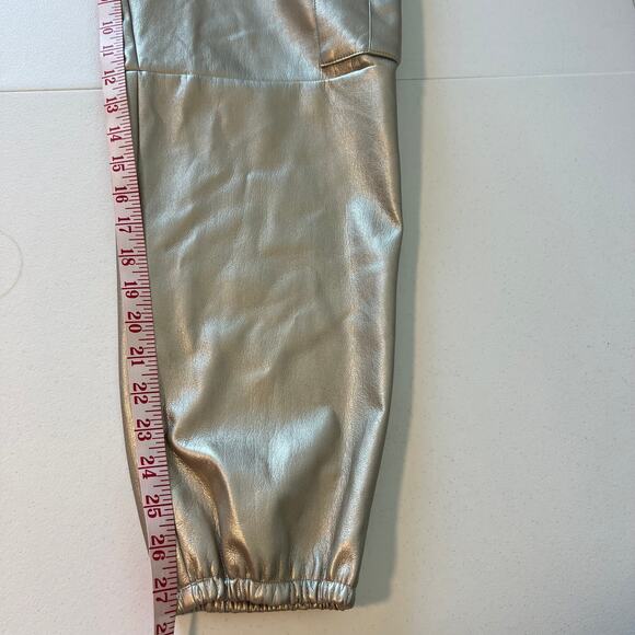 Generation Love Anthropologie Aidan Metallic Vegan Leather Jogger Pants Large - Picture 15 of 15
